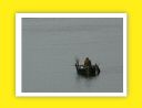 Errumania 2011 D16 (69).jpg